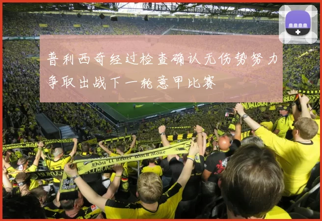 普利西奇经过检查确认无伤势努力争取出战下一轮意甲比赛